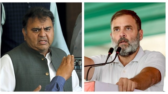 BJP said Congress's 'rishta' with Pakistan is clear now that a former Pakistani minister praised Rahul Gandhi's speech. 