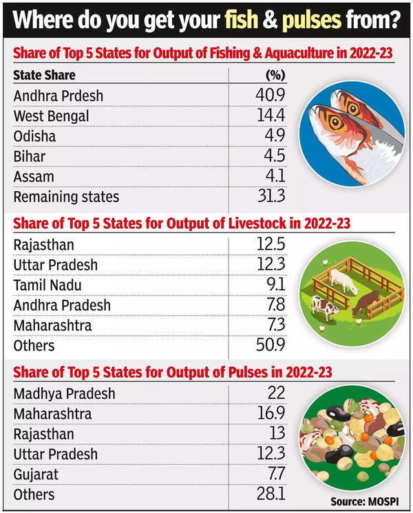 Big Fish_ Andhra dishes out 41% of India’s aquaculture output.