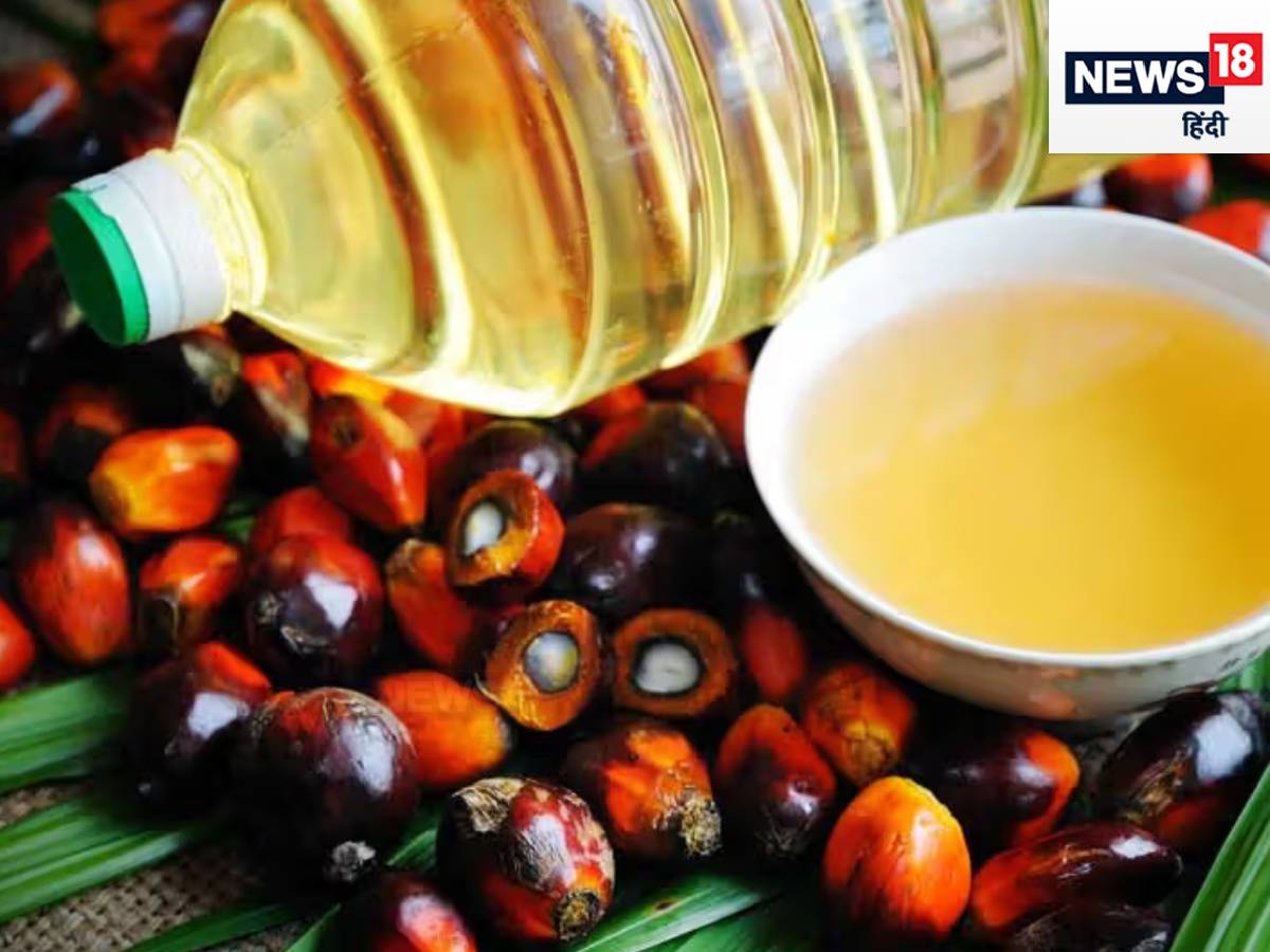 palm oil, palm oil side effects, palm oil ke nuksan, palm tel ke nuksan, पाम तेल