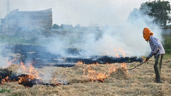 A farmer burns straw stubble after a harvest in a paddy field on the outskirts of Amritsar on September 29, (AFP) A farmer burns straw stubble after a harvest in a paddy field on the outskirts of Amritsar on September 29, (AFP)