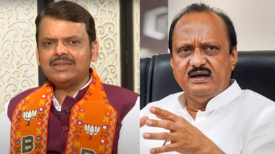 'Was with people with anti-Hindu ideologies': It's Fadnavis vs Ajit Pawar on 'batenge toh katenge' slogan