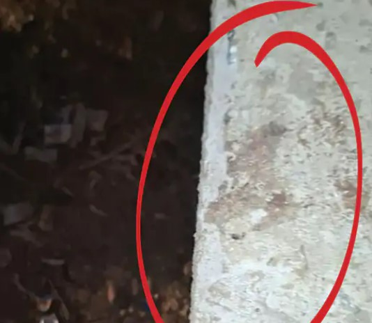 दीवार पर खून के धब्बे, बच्ची कुछ देर इसी का सहारा लेकर खड़ी हुई थी।