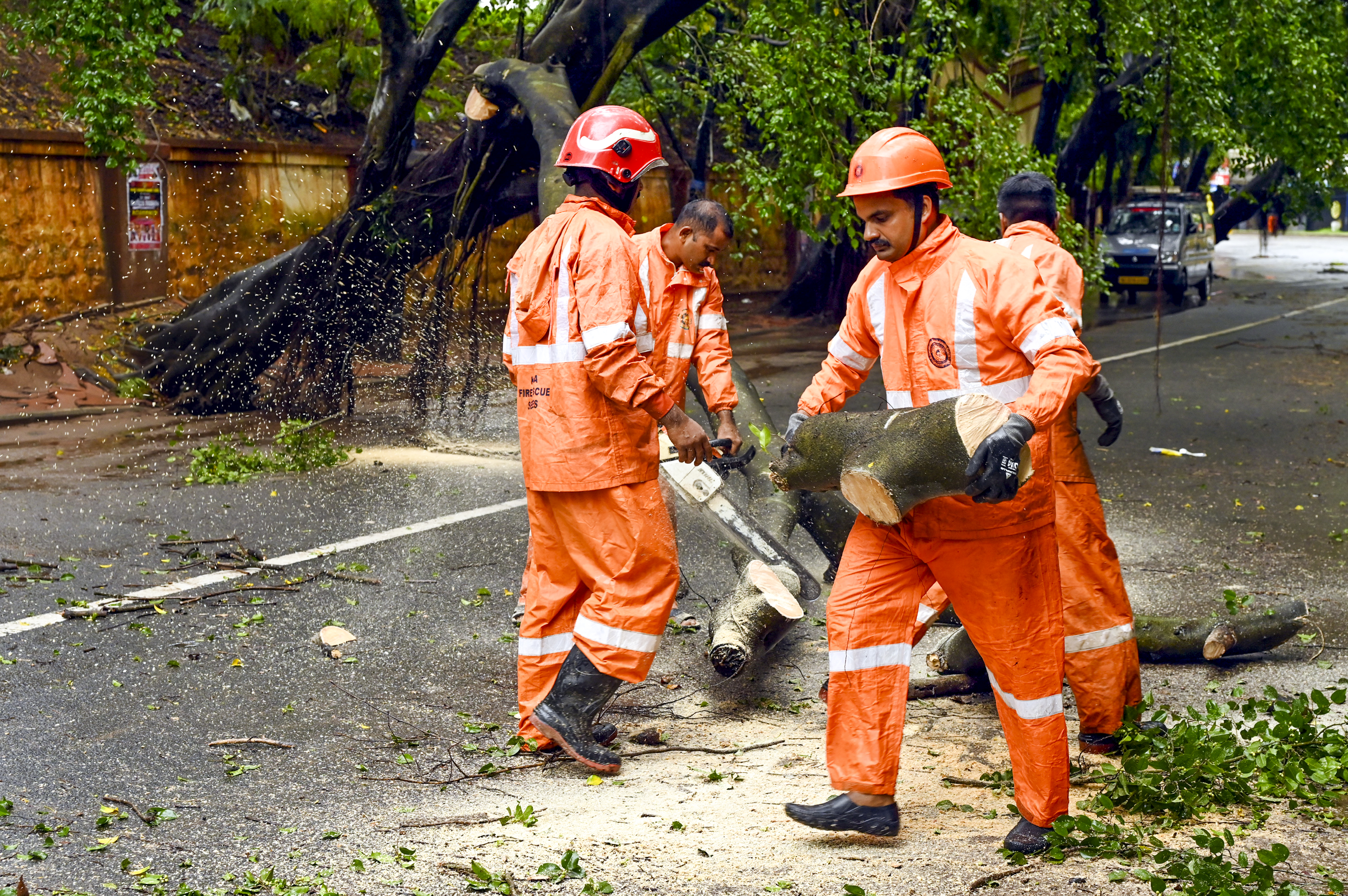 Overnight heavy rains and strong winds across Kerala led to uprooting of trees, dislodging of electricity poles and waterlogging of roads in several parts of the state on Saturday.(PTI) Overnight heavy rains and strong winds across Kerala led to uprooting of trees, dislodging of electricity poles and waterlogging of roads in several parts of the state on Saturday.(PTI)