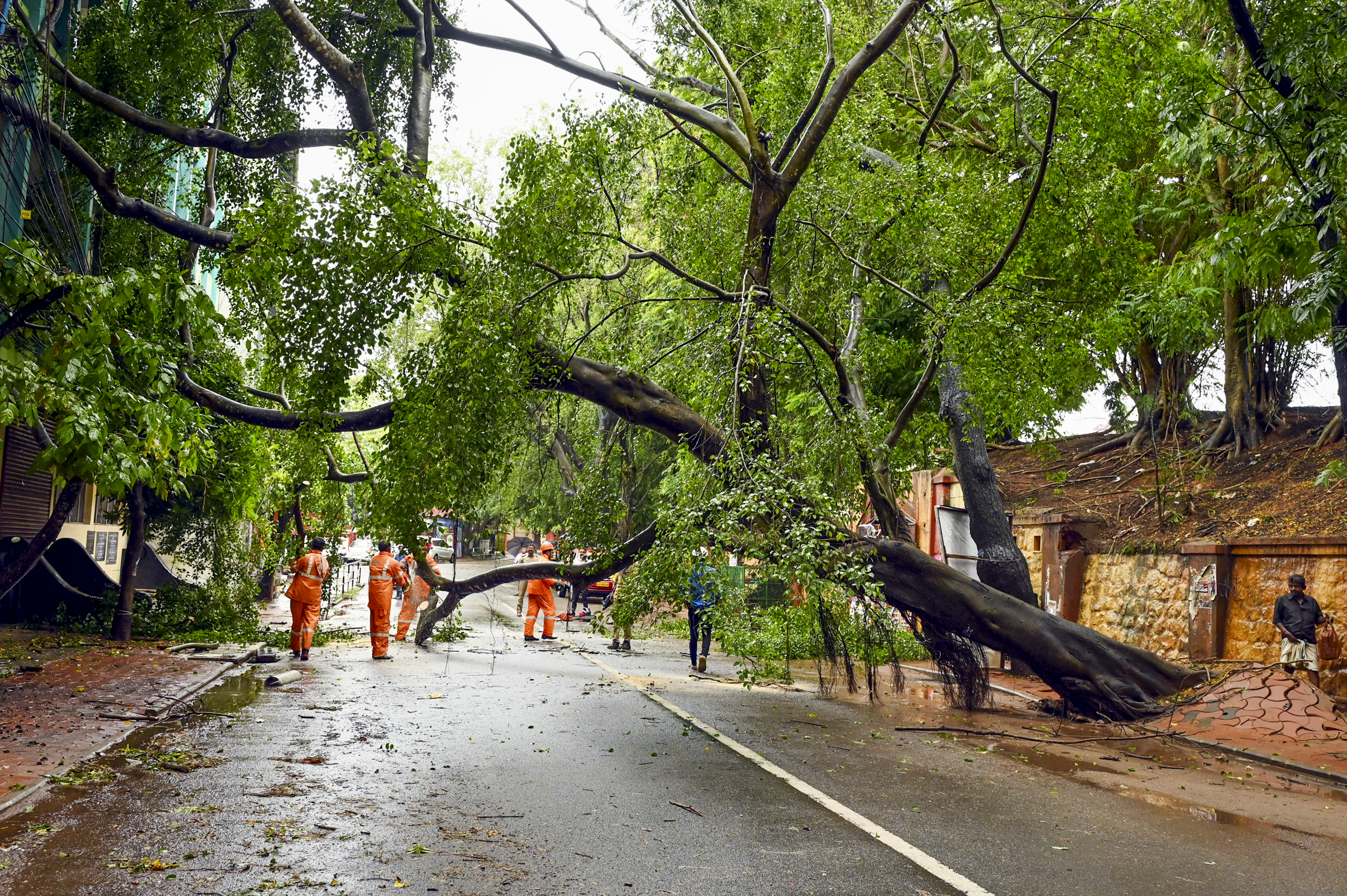 Fire and rescue personnel clear an uprooted tree after heavy rainfall in Kerala(PTI) Fire and rescue personnel clear an uprooted tree after heavy rainfall in Kerala(PTI)