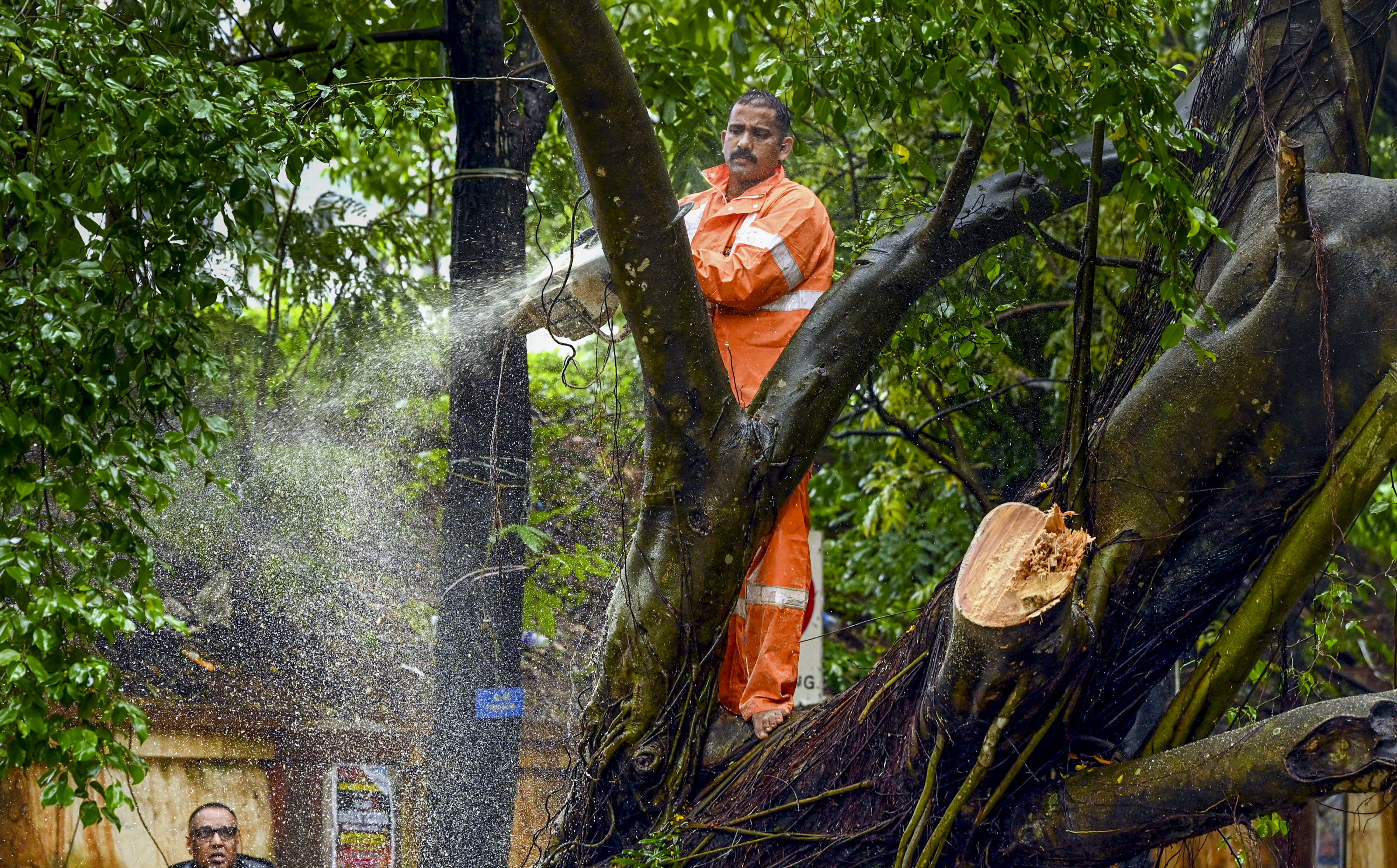 Heavy rain dislodged electricity poles, waterlogging was reported in various parts across Kerala(PTI) Heavy rain dislodged electricity poles, waterlogging was reported in various parts across Kerala(PTI)