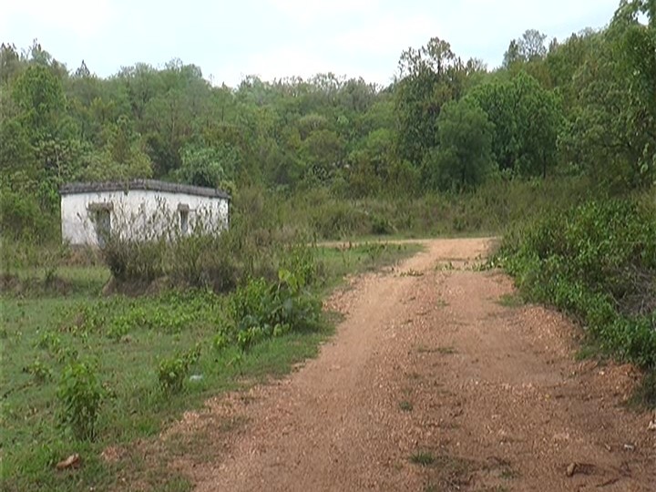 बलगांव से इसी जंगल के रास्ते नक्सली बारूद को लेकर भागे हैं। पुलिस नक्सलियों की तलाश कर रही है।