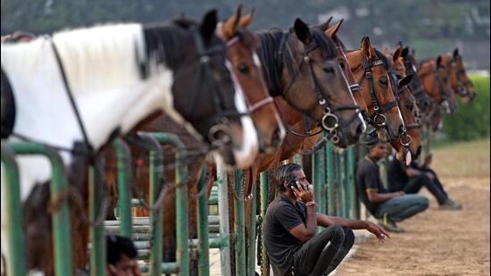 District collector Deepak Saxena ordered a probe after a PETA member filed a complaint on behalf of former Union Minister Maneka Gandhi. (Satyabrata Tripathy/HT Photo/ Representational image.) District collector Deepak Saxena ordered a probe after a PETA member filed a complaint on behalf of former Union Minister Maneka Gandhi. (Satyabrata Tripathy/HT Photo/ Representational image.)