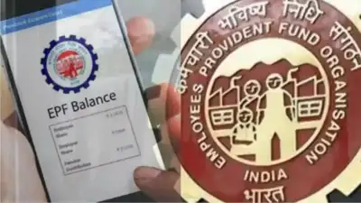 Government fixes 8.25% PF interest rate for FY 2024-25