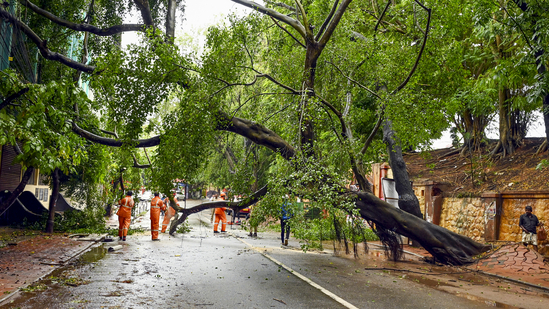 The southwest monsoon reached Kerala on Saturday, bringing heavy overnight rain that continued into Sunday morning across parts of the state.(PTI) The southwest monsoon reached Kerala on Saturday, bringing heavy overnight rain that continued into Sunday morning across parts of the state.(PTI)