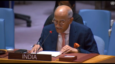 'Objective to attack our prosperity, progress and morale': India slams Pakistan for sponsoring cross-border terrorism