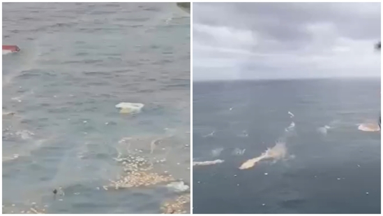 The Indian Coast Guard (ICG) released aerial visuals of the site, showing numerous containers and a visible spill spread across the water. (Source: ICG) The Indian Coast Guard (ICG) released aerial visuals of the site, showing numerous containers and a visible spill spread across the water. (Source: ICG)