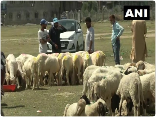 आसमान से गिरी बिजली, J&K के राजौरी में 100 से अधिक भेड़-बकरियों की मौत आसमान से गिरी बिजली, J&K के राजौरी में 100 से अधिक भेड़-बकरियों की मौत