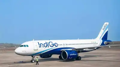 IndiGo flight hit by vulture at 4,000 feet, makes emergency landing in Ranchi